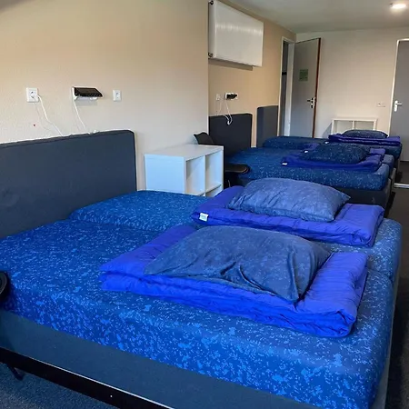De Oude Molen Kamp alanı *